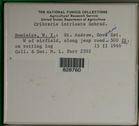 Image Associated With the Occurence